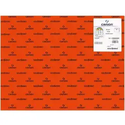 (C200040363) IRIS CARTULINA 50X65CM 240GR ROSA PÁLIDO -25U-