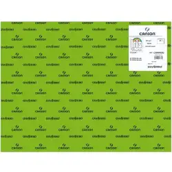 (C200040382) IRIS CARTULINA 50X65CM 240GR VERDE BILLAR -25U-