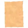 (2605229) MICHEL PERGAMINO TROQUELADO 150GR A4 PACK 25U OCRE