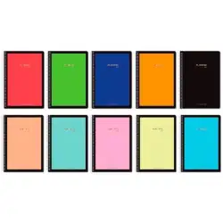 (16022) PACSA CUADERNO PLASTIPAC SERIE LUX 80H FOLIO 100GR 4X4MM TAPA PP C/SURTIDOS VIVOS/PASTEL