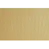 (F42450701) SADIPAL CARTULINA LR 220 TEXTURIZADA 50X70CM PANNA